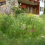Wildfeuer By Interhome