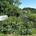 Wildfeuer By Interhome Daire Kirchdorf im Wald