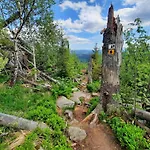 Wildfeuer By Interhome Kirchdorf im Wald