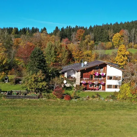 Wildfeuer By Interhome Apartment Kirchdorf im Wald