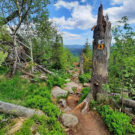 Wildfeuer By Interhome Kirchdorf im Wald