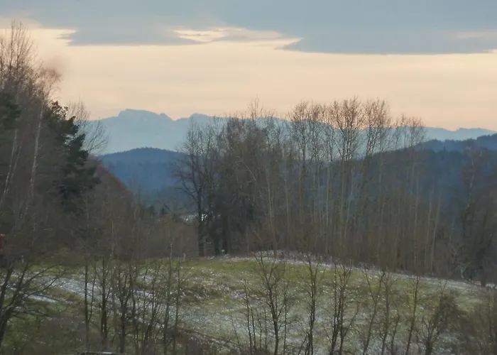 Wildfeuer By Interhome * Kirchdorf im Wald